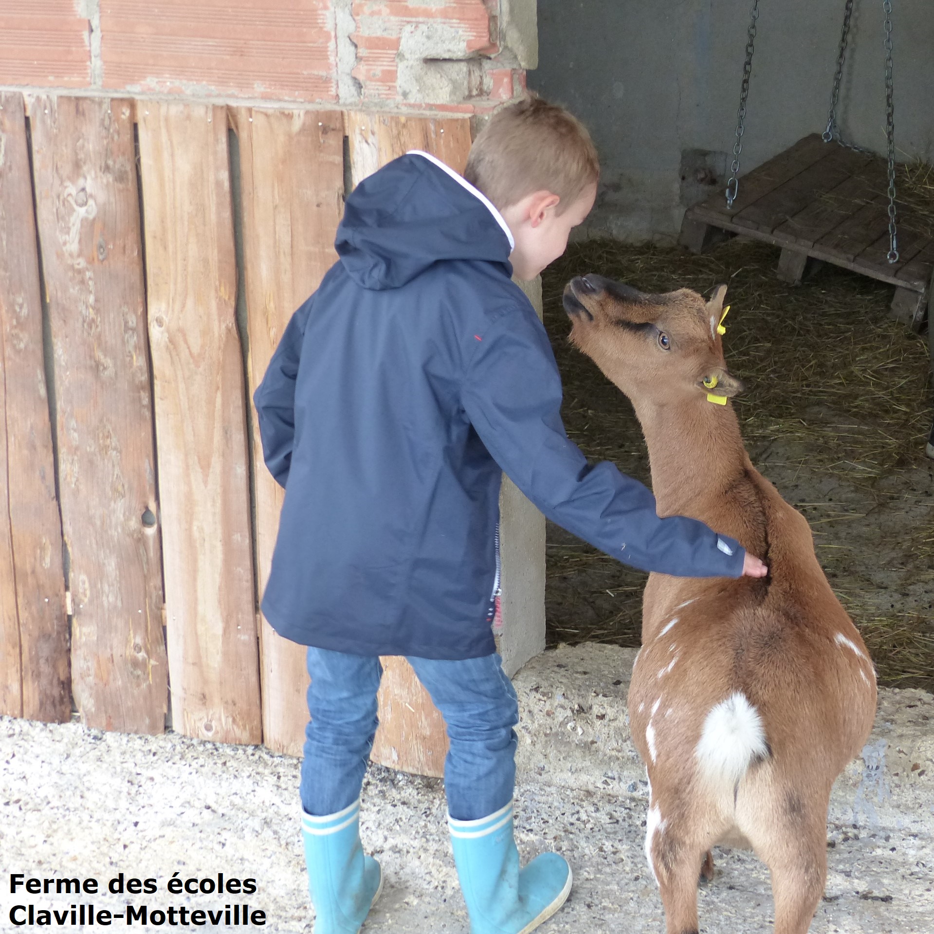 3_Ferme des écoles