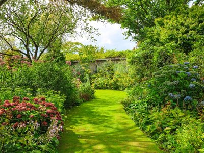 jardin_de_valerianes-sma-mathilde_harel-800x600 (3)