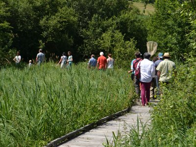 Marais-des-communaux2 800x600