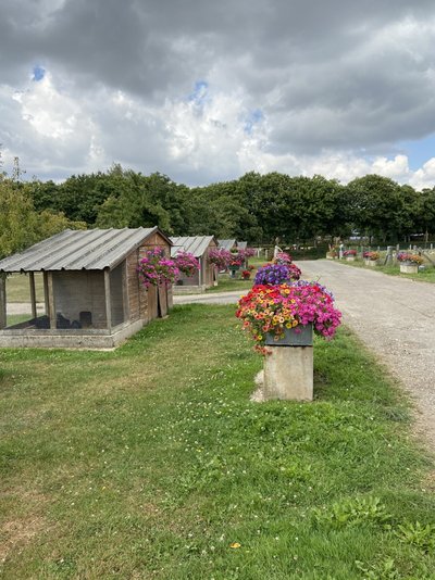 Ferme des Chataigniers - ©AL - 2020 - CATENAY - produits du terroir - ferme (2)